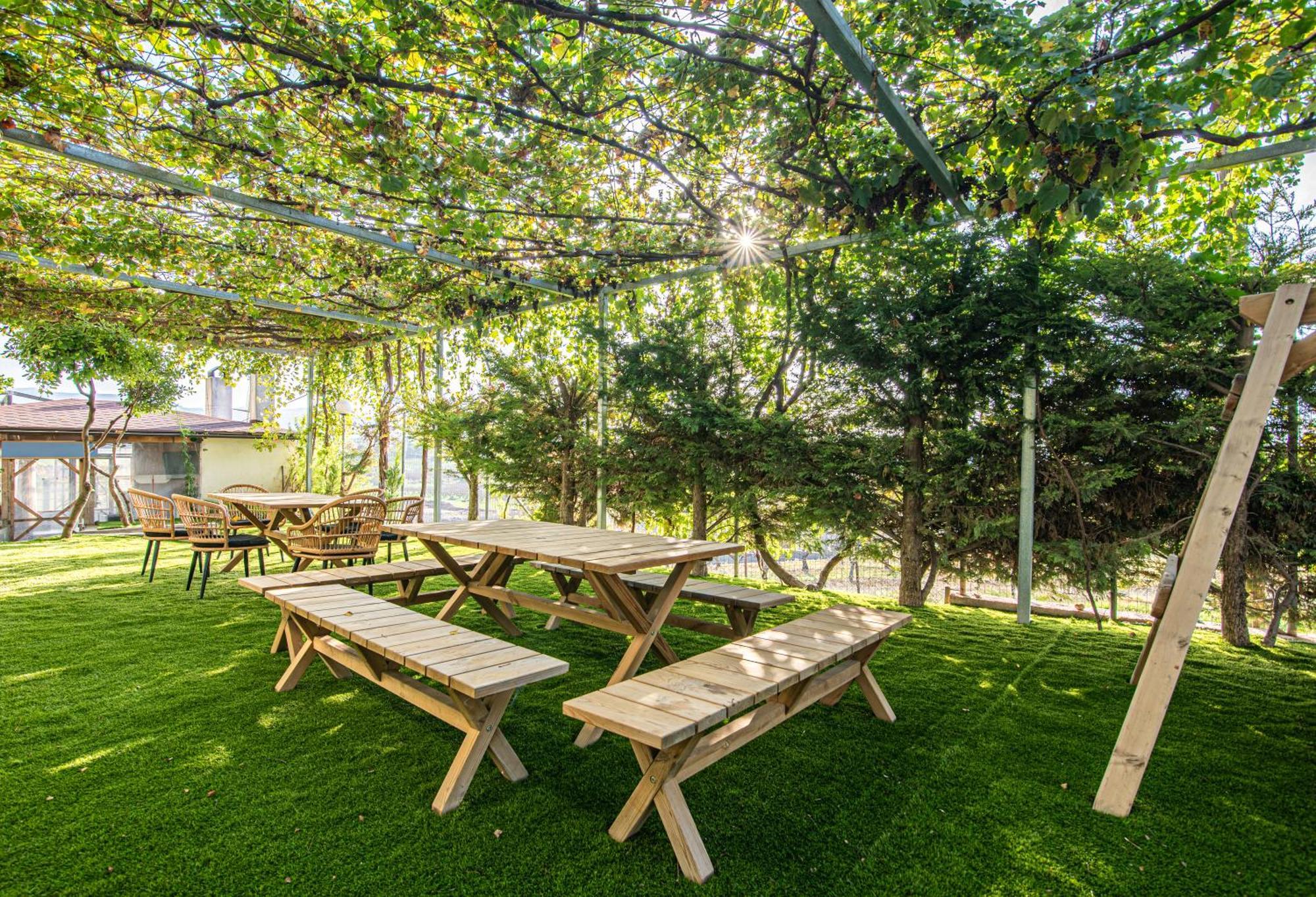 Chamomile Apartment Oinofyta Bagian luar foto