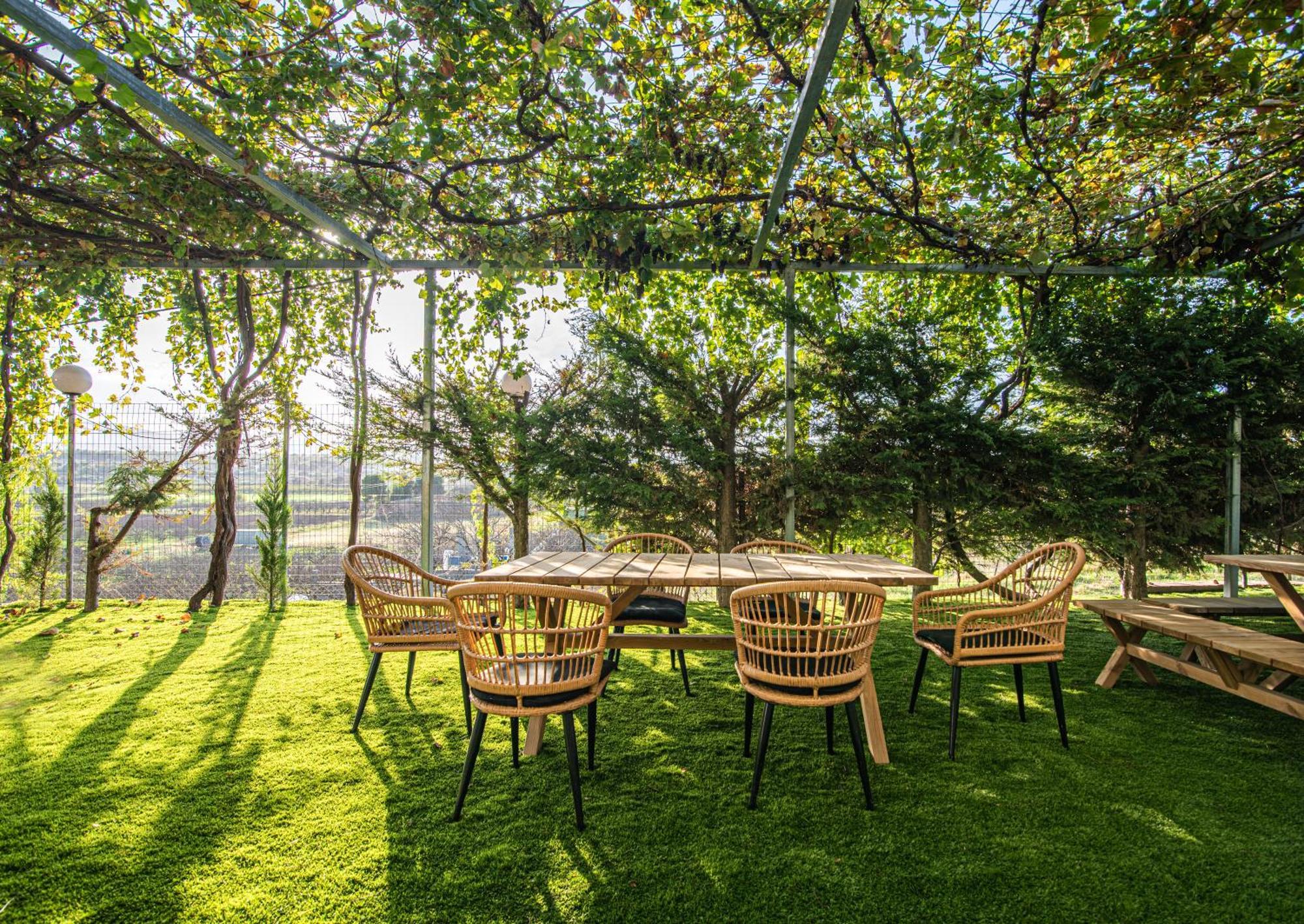 Chamomile Apartment Oinofyta Bagian luar foto